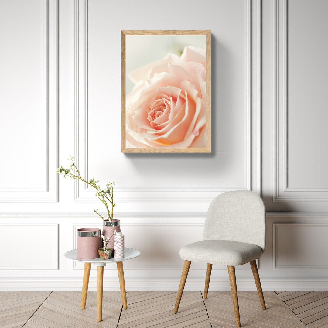 Roze- rozā I